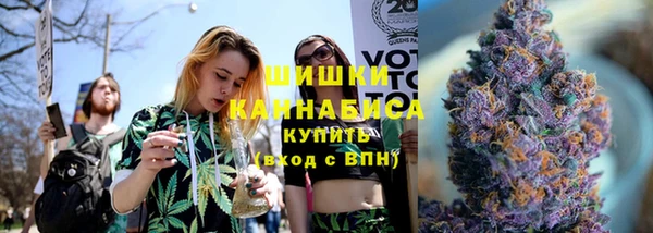 трава Аркадак