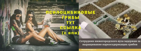 бутират Армянск