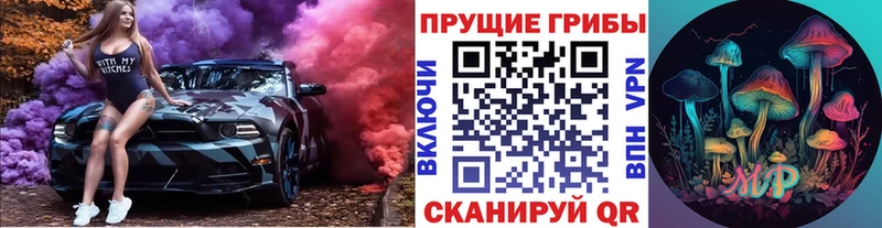 Псилоцибиновые грибы мицелий Щёлкино